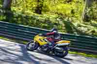 cadwell-no-limits-trackday;cadwell-park;cadwell-park-photographs;cadwell-trackday-photographs;enduro-digital-images;event-digital-images;eventdigitalimages;no-limits-trackdays;peter-wileman-photography;racing-digital-images;trackday-digital-images;trackday-photos